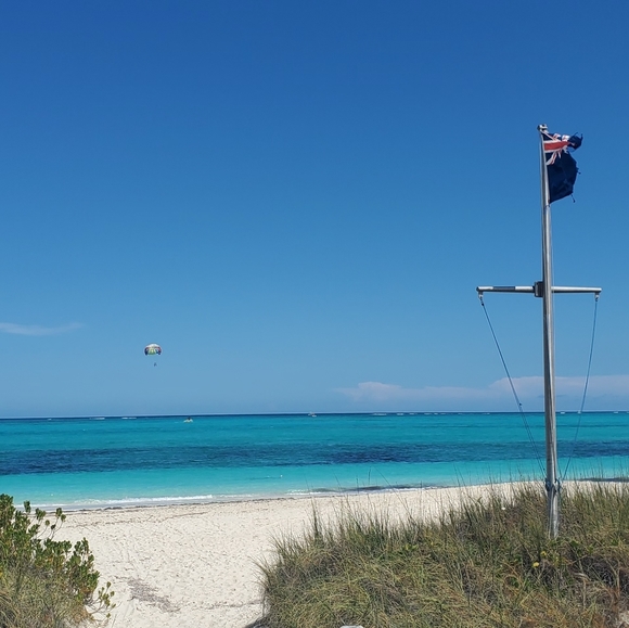 Meet the Posher Brando xoxo - Picture 8 of 8